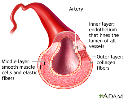 tongue artery
